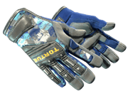 ★ Specialist Gloves | Mogul