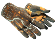★ Sport Gloves | Big Game