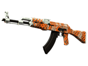 AK-47 | Safety Net