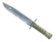 ★ Bayonet | Rust Coat