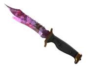 ★ Bowie Knife | Doppler