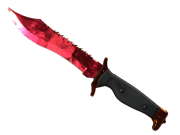 ★ Bowie Knife | Doppler