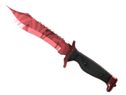 ★ Bowie Knife | Slaughter