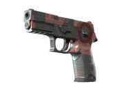 P250 | Constructivist