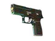 P250 | Visions
