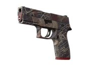 P250 | Facility Draft
