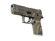P250 | Exchanger