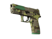 P250 | Boreal Forest