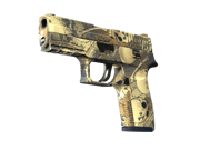 P250 | Contamination
