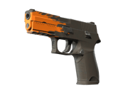 P250 | Splash