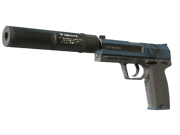 USP-S | Guardian