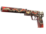 USP-S | Kill Confirmed