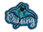 Cruising Ray