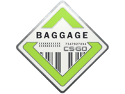 Baggage Pin