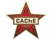 Cache Pin