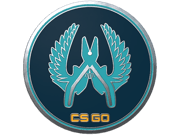 Guardian Pin