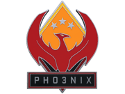 Phoenix Pin