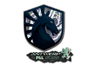 Team Liquid (Glitter) | Antwerp 2022