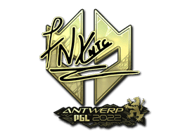 fnx (Gold) | Antwerp 2022