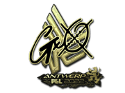 gxx- (Gold) | Antwerp 2022