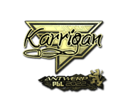karrigan (Gold) | Antwerp 2022