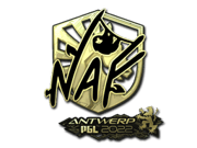 NAF (Gold) | Antwerp 2022