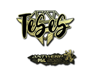 TeSeS (Gold) | Antwerp 2022