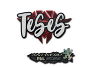 TeSeS | Antwerp 2022