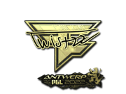 Twistzz (Gold) | Antwerp 2022