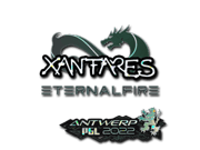 XANTARES (Glitter) | Antwerp 2022
