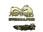 XANTARES (Gold) | Antwerp 2022