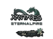 XANTARES | Antwerp 2022