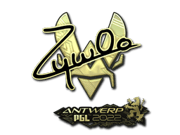 ZywOo (Gold) | Antwerp 2022