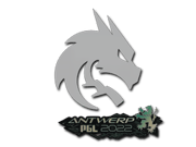 Team Spirit | Antwerp 2022