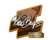 pashaBiceps | Atlanta 2017