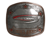 Complexity Gaming (Foil) | Austin 2025