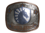Team Liquid (Foil) | Austin 2025