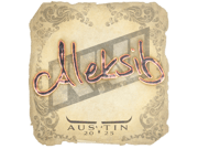 Aleksib | Austin 2025