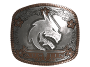 Team Spirit (Foil) | Austin 2025