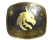 Team Spirit (Gold) | Austin 2025