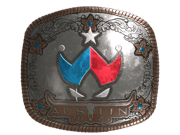 Wildcard (Foil) | Austin 2025