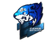 Flash Gaming (Foil) | Boston 2018