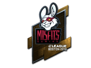 Misfits Gaming (Foil) | Boston 2018