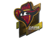 Renegades (Holo) | Boston 2018