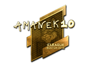 AmaNEk (Gold) | Boston 2018
