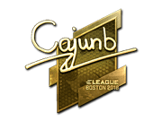 cajunb (Gold) | Boston 2018
