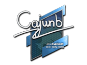 cajunb | Boston 2018