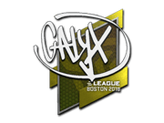 Calyx | Boston 2018