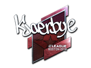 Kjaerbye (Foil) | Boston 2018