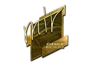 mir (Gold) | Boston 2018